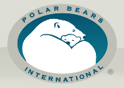 Polar Bears International